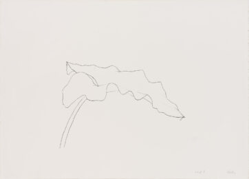 Leaf ii by Ellsworth Kelly at Susan Sheehan Gallery