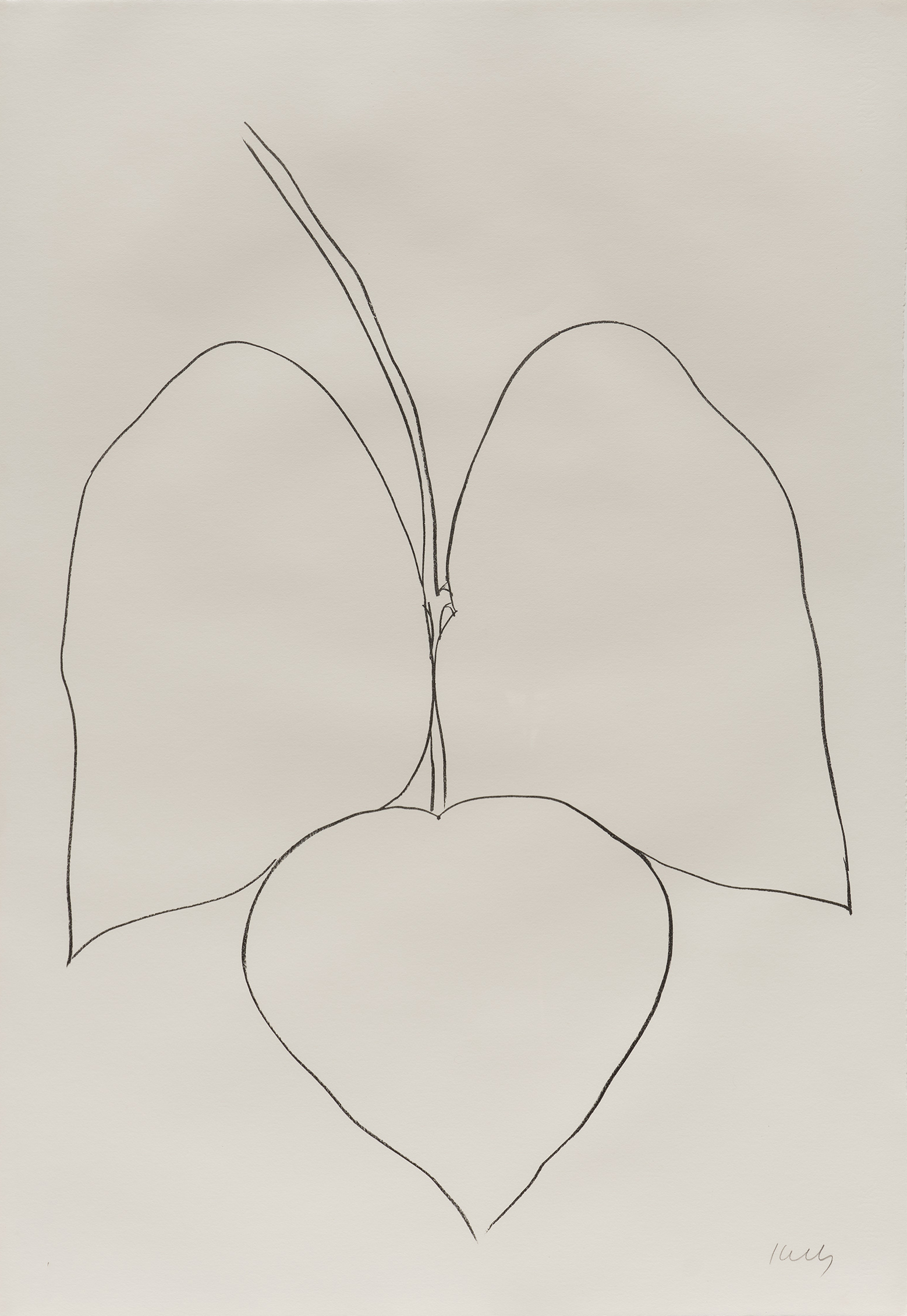 String Bean Leaves i by Ellsworth Kelly