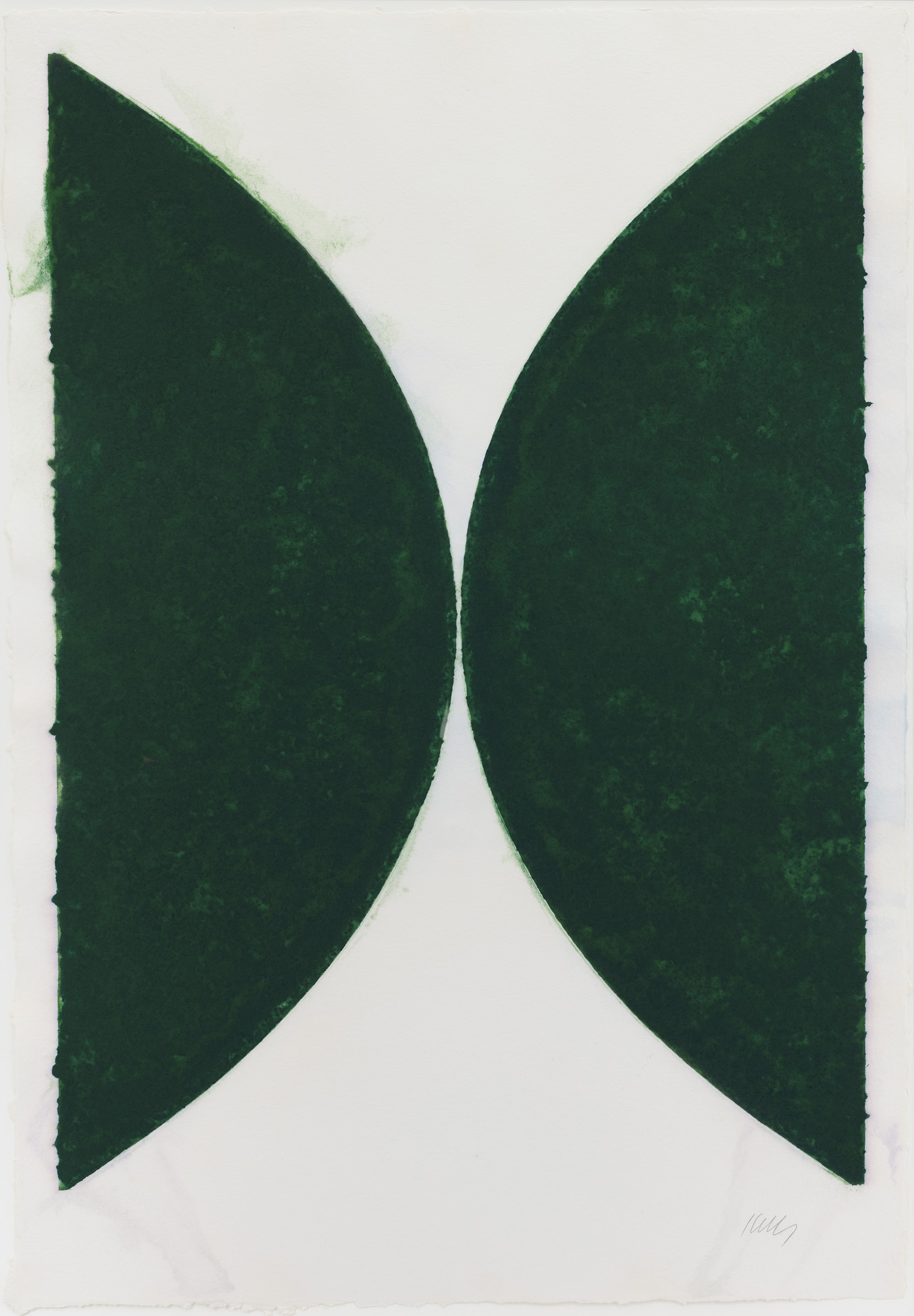 Colored Paper Image II (Dark Green Curves) by Ellsworth Kelly