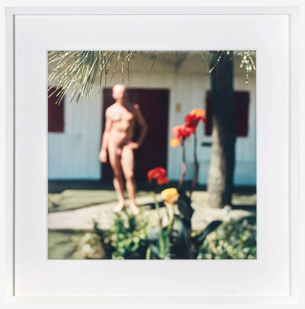 Amsterdam vi by Mona Kuhn