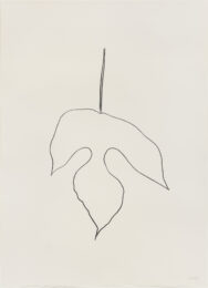 Mulberry Leaf by Ellsworth Kelly at Susan Sheehan Gallery