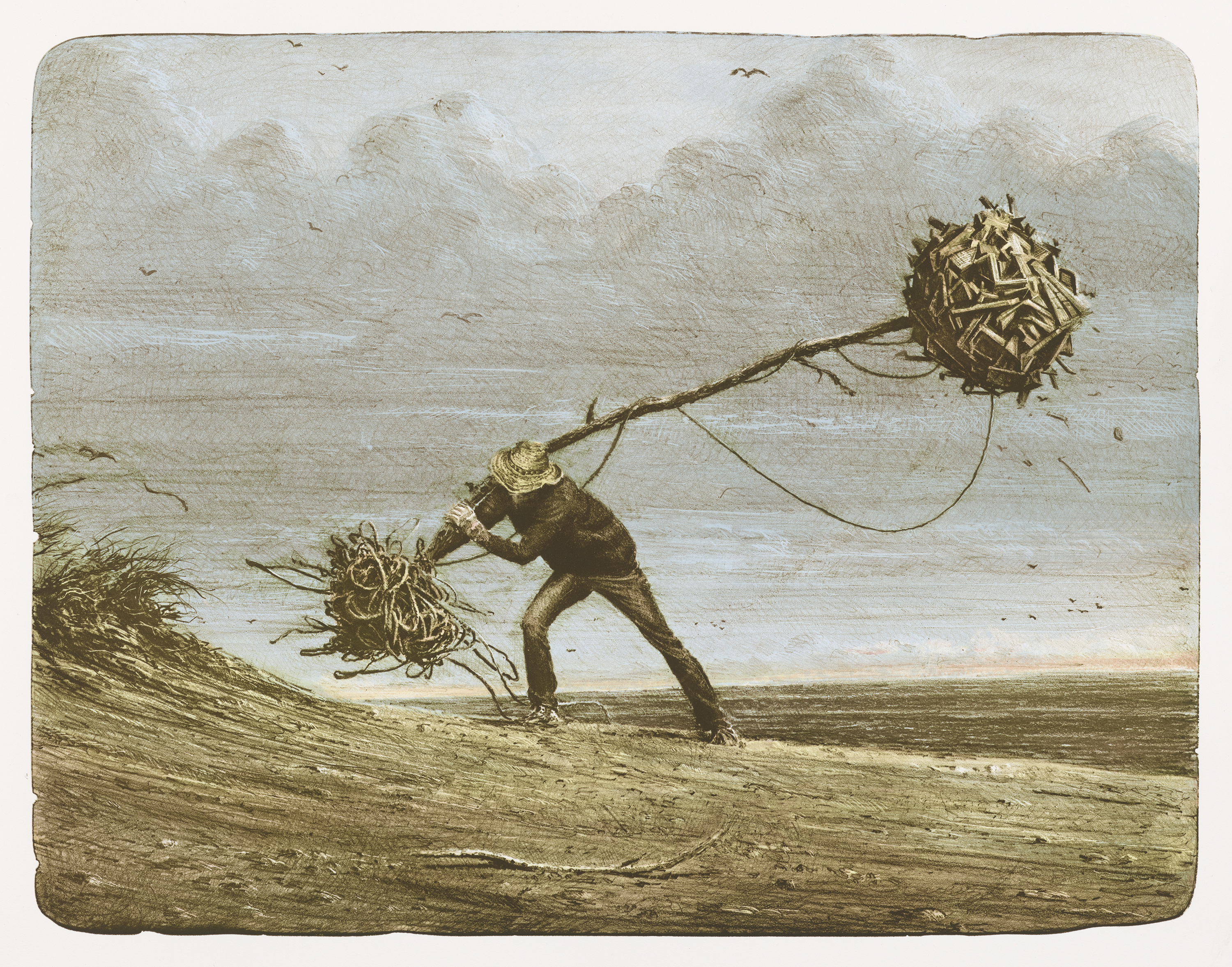 Sapling by Ethan Murrow