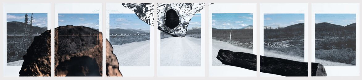 Noospheric (Trans-Alaska JWJ) by Michael Joo at Island Press