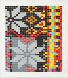 Snowflake by Lisa Anne Auerbach at Island Press
