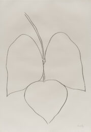 String Bean Leaves i by Ellsworth Kelly at Susan Sheehan Gallery
