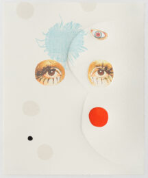 The Beautiful Girls No. 2 by Diana Guerrero-Maciá at Island Press