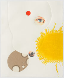The Beautiful Girls No. 4 by Diana Guerrero-Maciá at Island Press