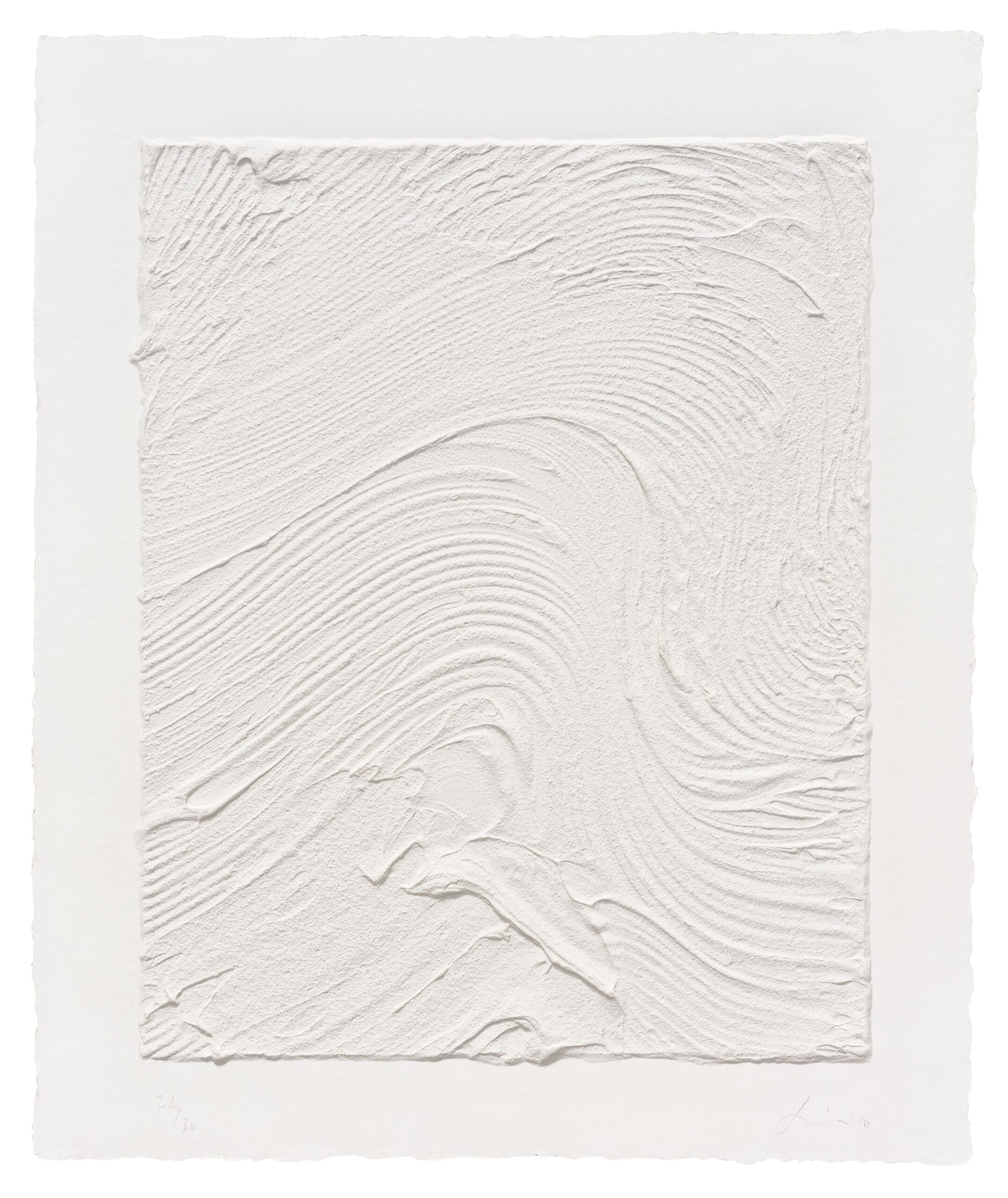 Untitled (Plate I) by Jason Martin