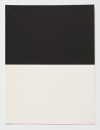 Untitled by Ellsworth Kelly at Susan Sheehan Gallery