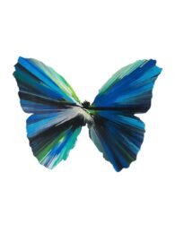 Untitled (spin butterfly) by Damien Hirst at Dovehouse Contemporary