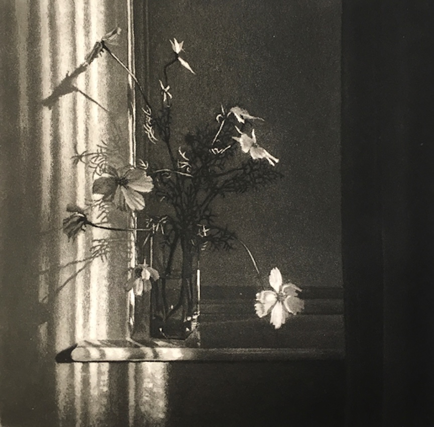 Window Light XXIII by Anja Percival