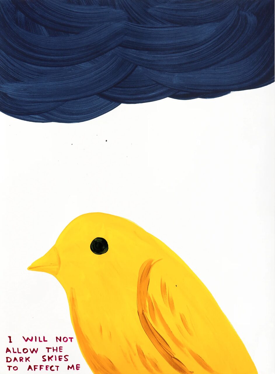 David Shrigley I Will Not Allow The Dark Skies To Affect Me by David Shrigley