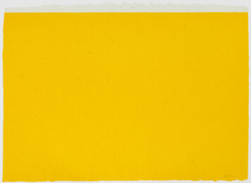 (to Don Judd, colorist) 3 by Dan Flavin at Susan Sheehan Gallery