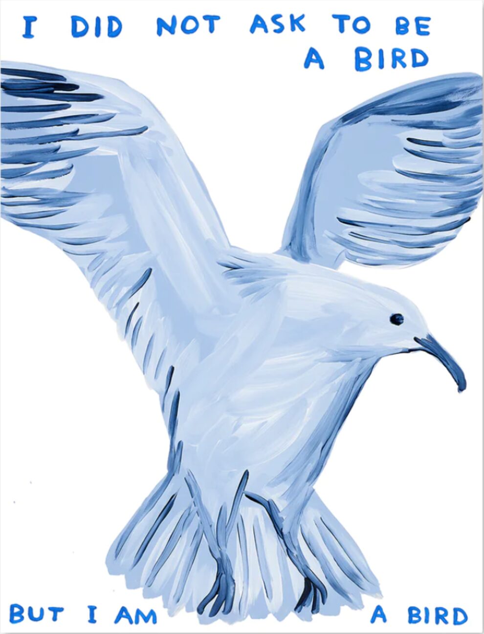 David Shrigley I Did Not Ask To Be A Bird by David Shrigley