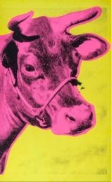 Cow, II.11 by Andy Warhol at Hamilton-Selway Fine Art