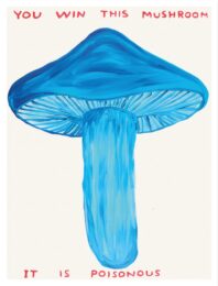 David Shrigley You Win This Mushroom by David Shrigley at Clifton Gallery