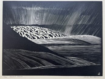 Desert Storm by Paul Landacre at Catherine Burns Fine Art