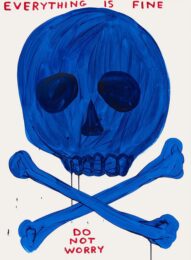 Everything Is Fine by David Shrigley at Clifton Gallery