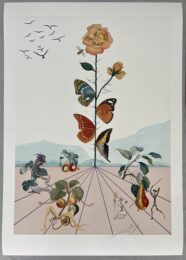 Flordali 2 by Salvador Dalí at Dellasposa