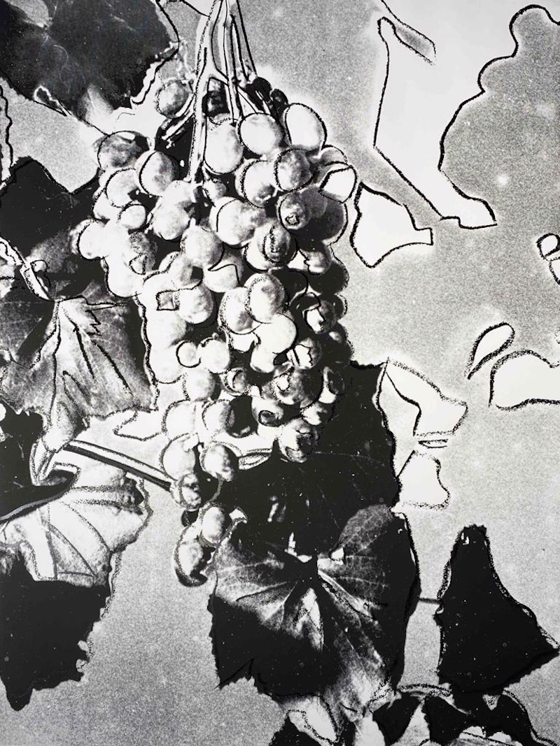 Grapes by Andy Warhol