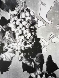Grapes by Andy Warhol at Hamilton-Selway Fine Art