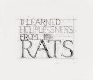 I Learned Helplessness from Rats by Bruce Nauman at Susan Sheehan Gallery