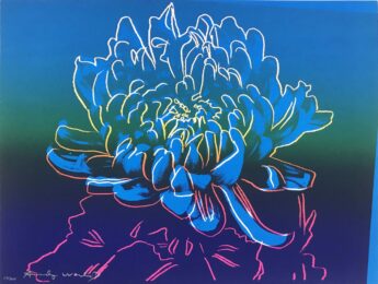 Kiku, II.307 by Andy Warhol at Hamilton-Selway Fine Art