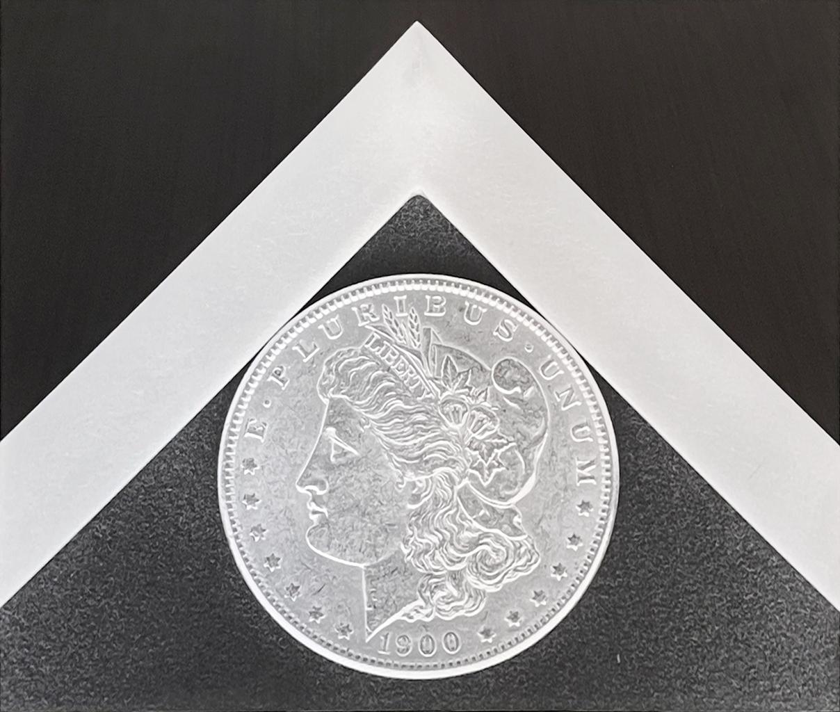 Silver Dollar by Robert Mapplethorpe