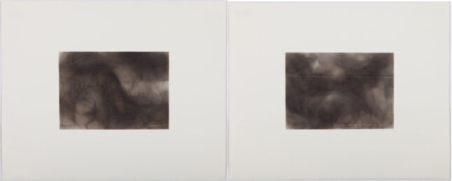 The First Time, The Heart (First Pulse, Flatline) by Dario Robleto at Island Press