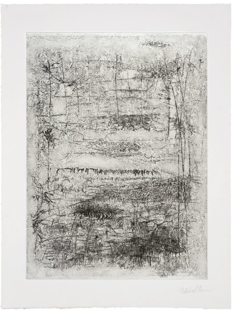 Song 2 by Catalina Chervin