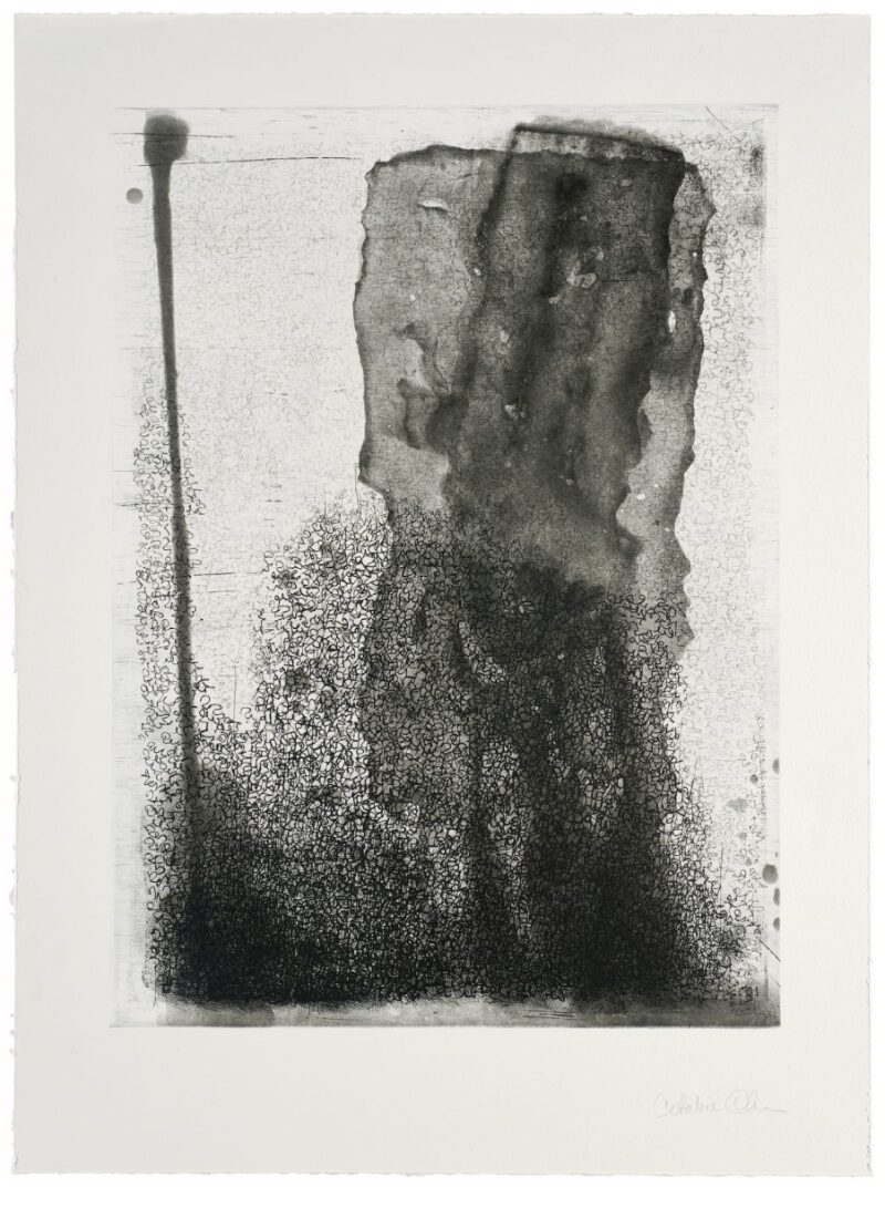 Untitled by Catalina Chervin