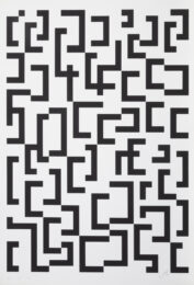 Werkubersicht/work-overview d by Leon Polk Smith at RoGallery