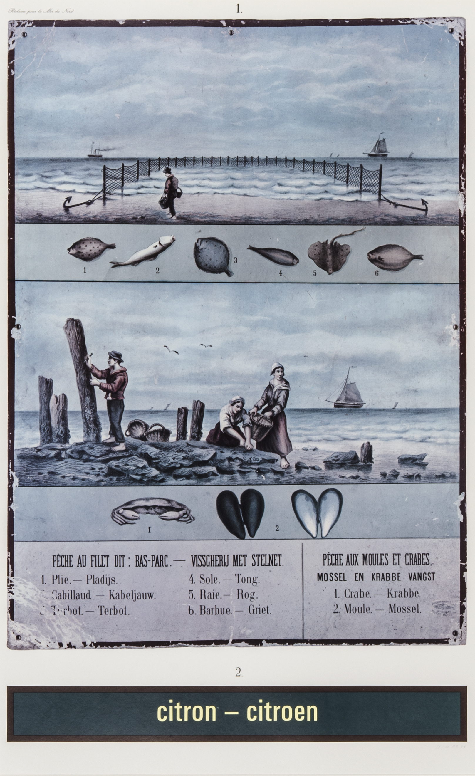 Citron – Citroen (Réclame pour la Mer du Nord) by Marcel Broodthaers