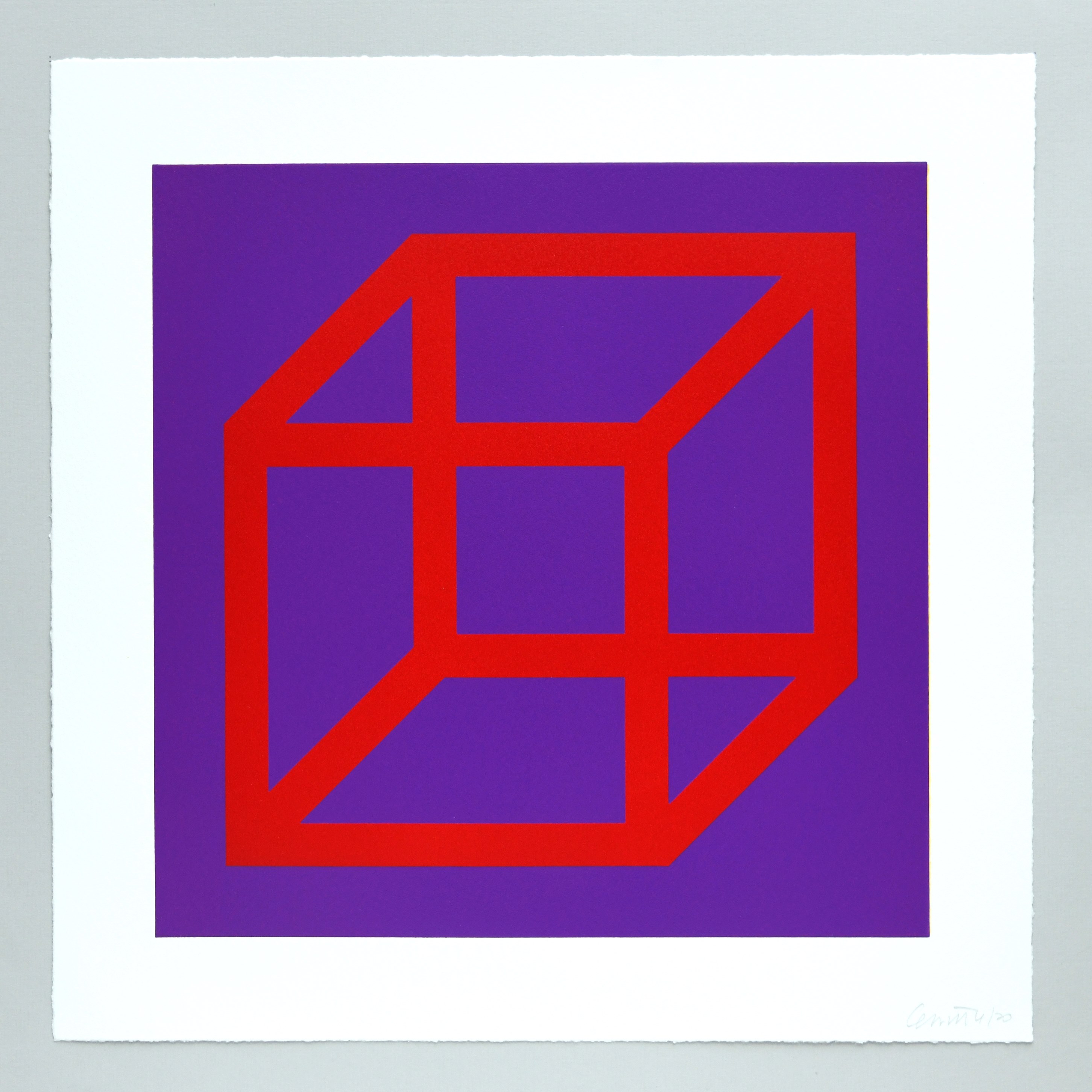 Open Cube in Color on Color Plate 05 by Sol LeWitt