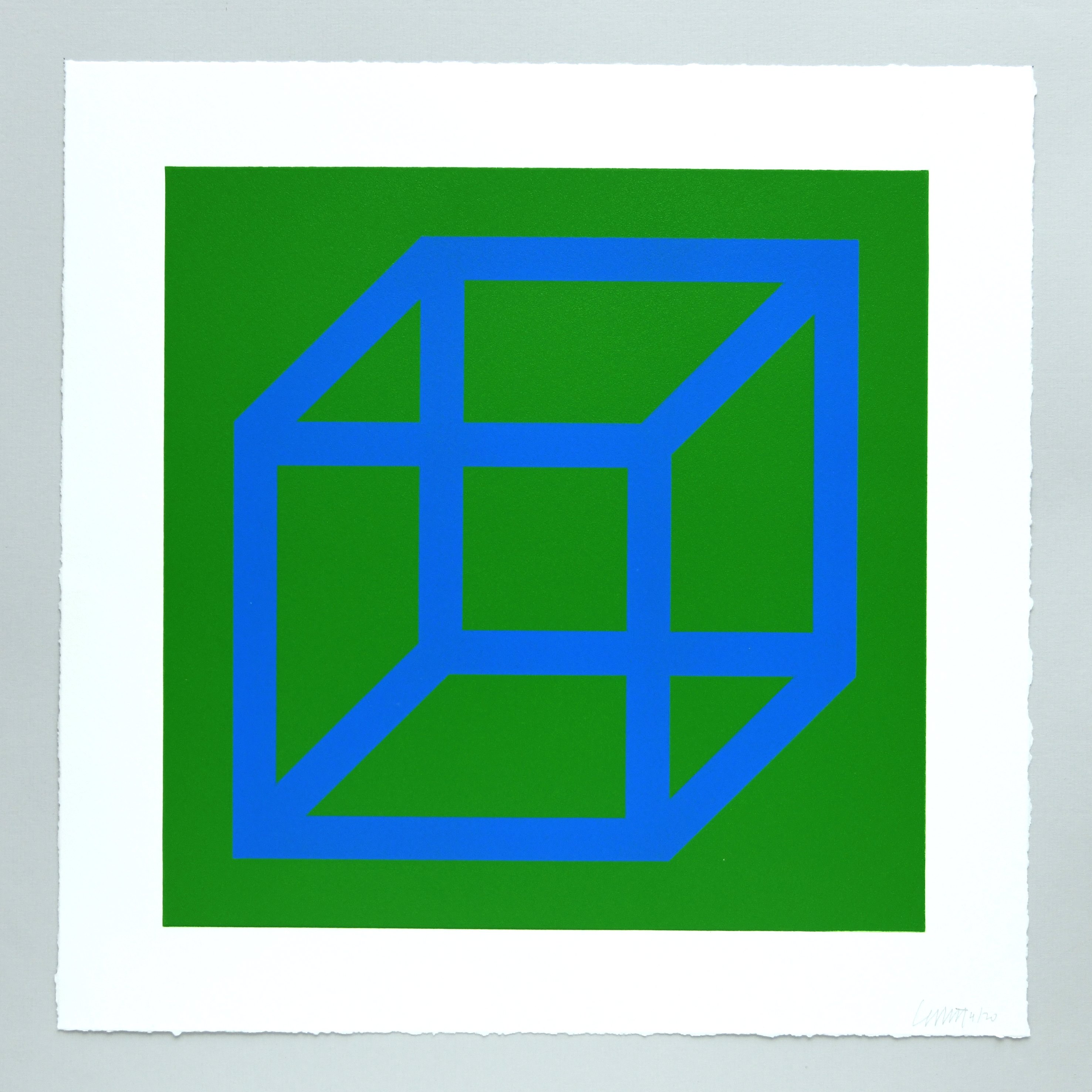 Open Cube in Color on Color Plate 12 by Sol LeWitt