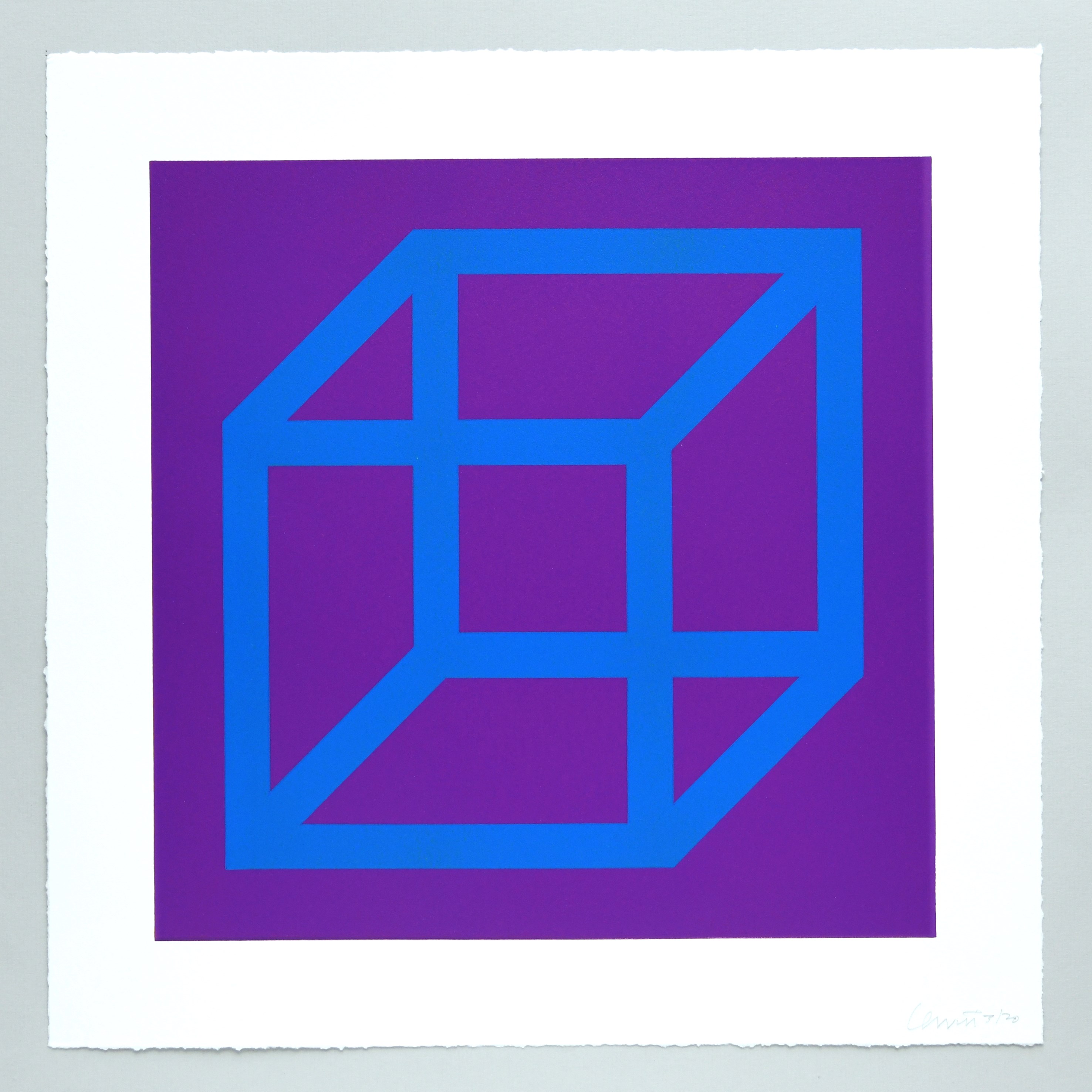 Open Cube in Color on Color Plate 13 by Sol LeWitt