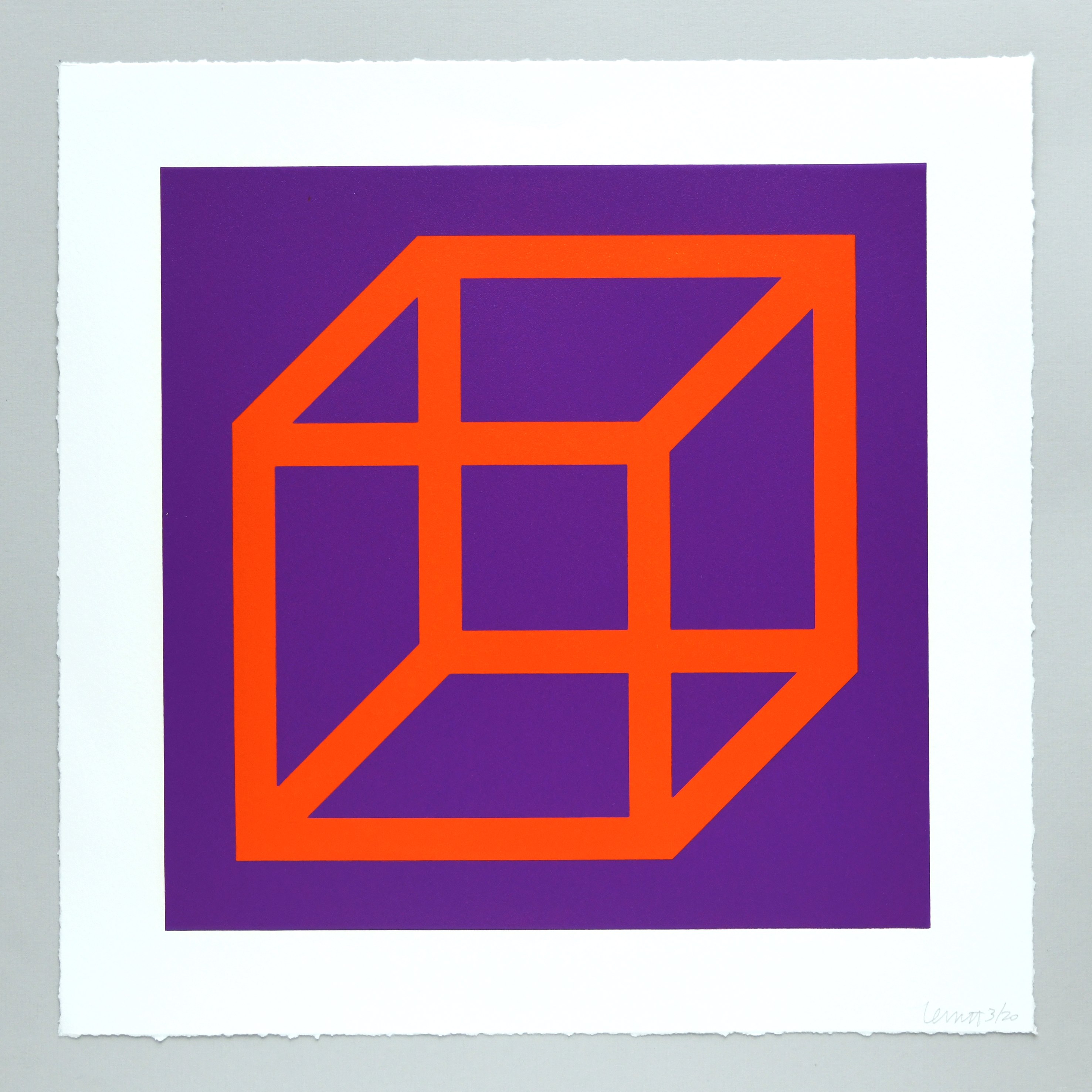 Open Cube in Color on Color Plate 17 by Sol LeWitt
