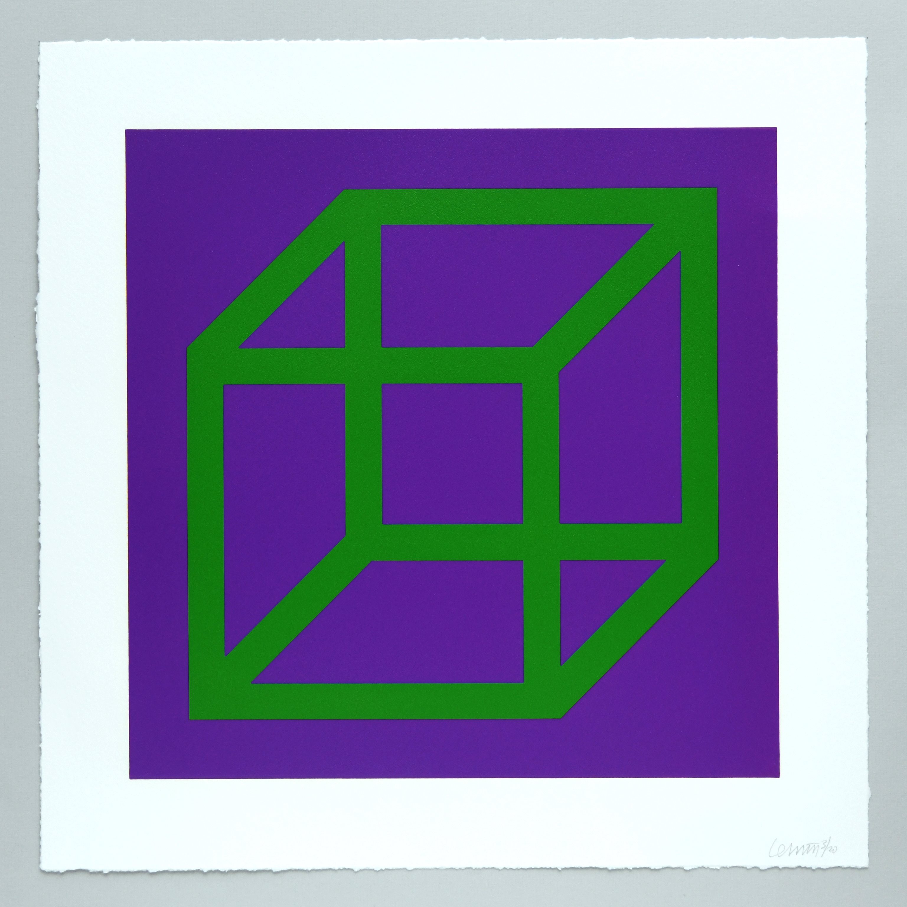 Open Cube in Color on Color Plate 21 by Sol LeWitt