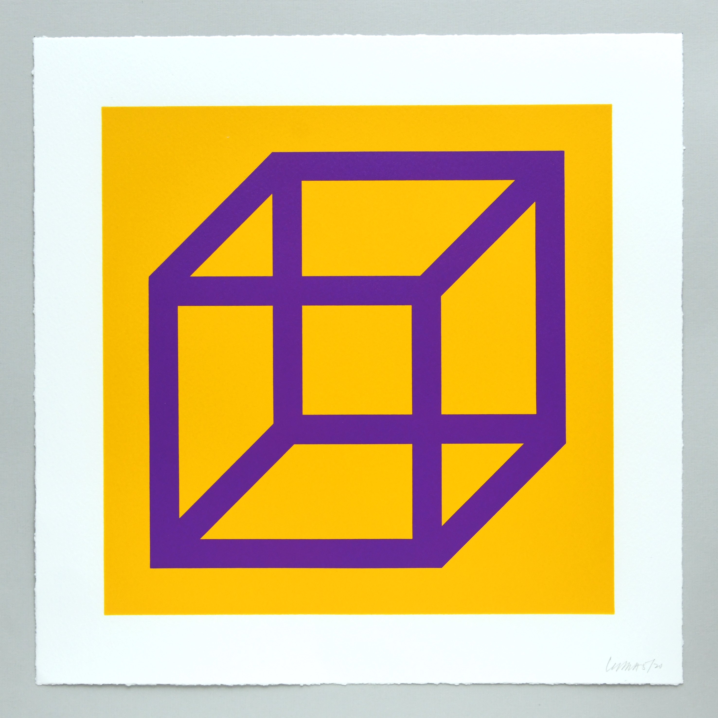 Open Cube in Color on Color Plate 27 by Sol LeWitt