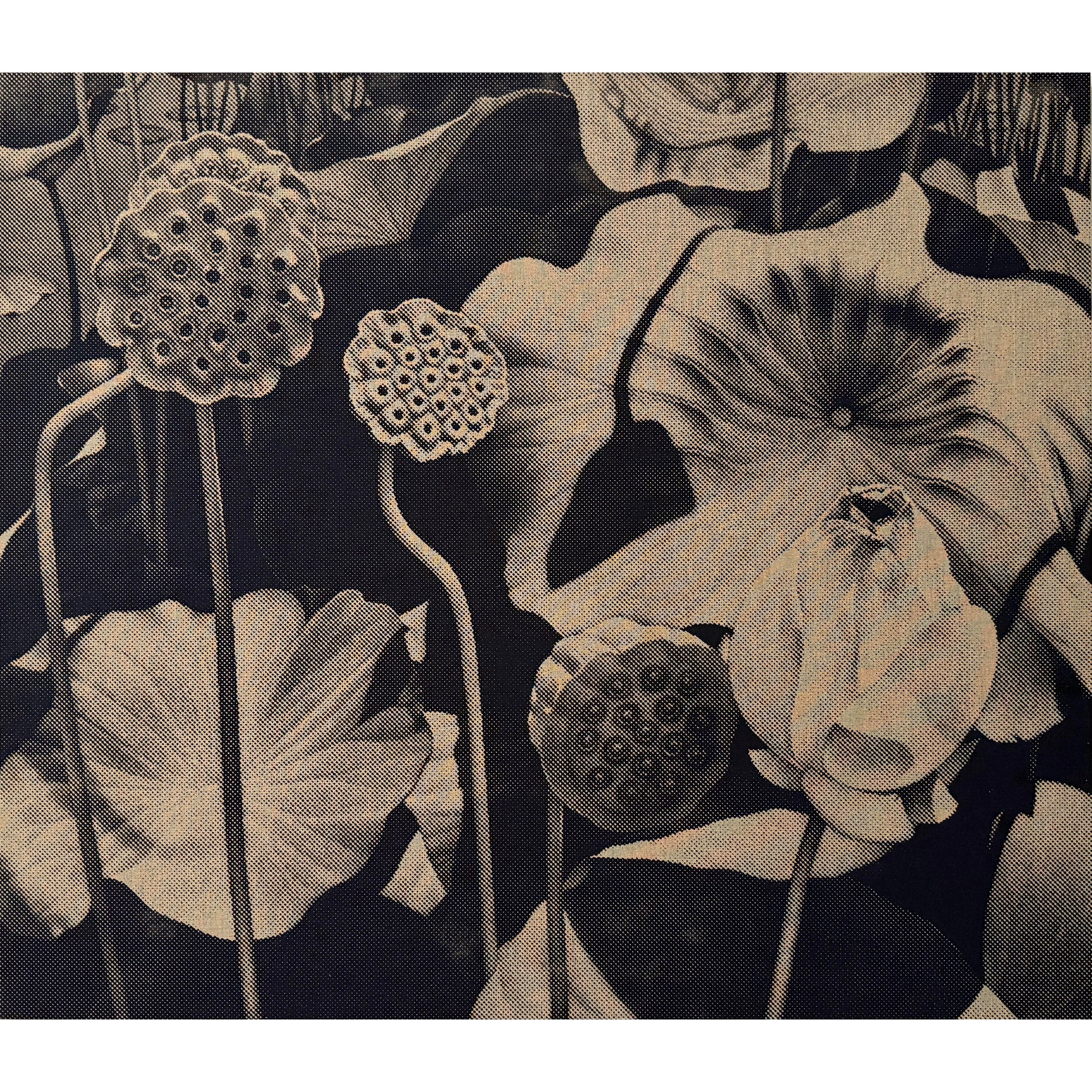Water Lily Series #10 (V2) by Ron Weis