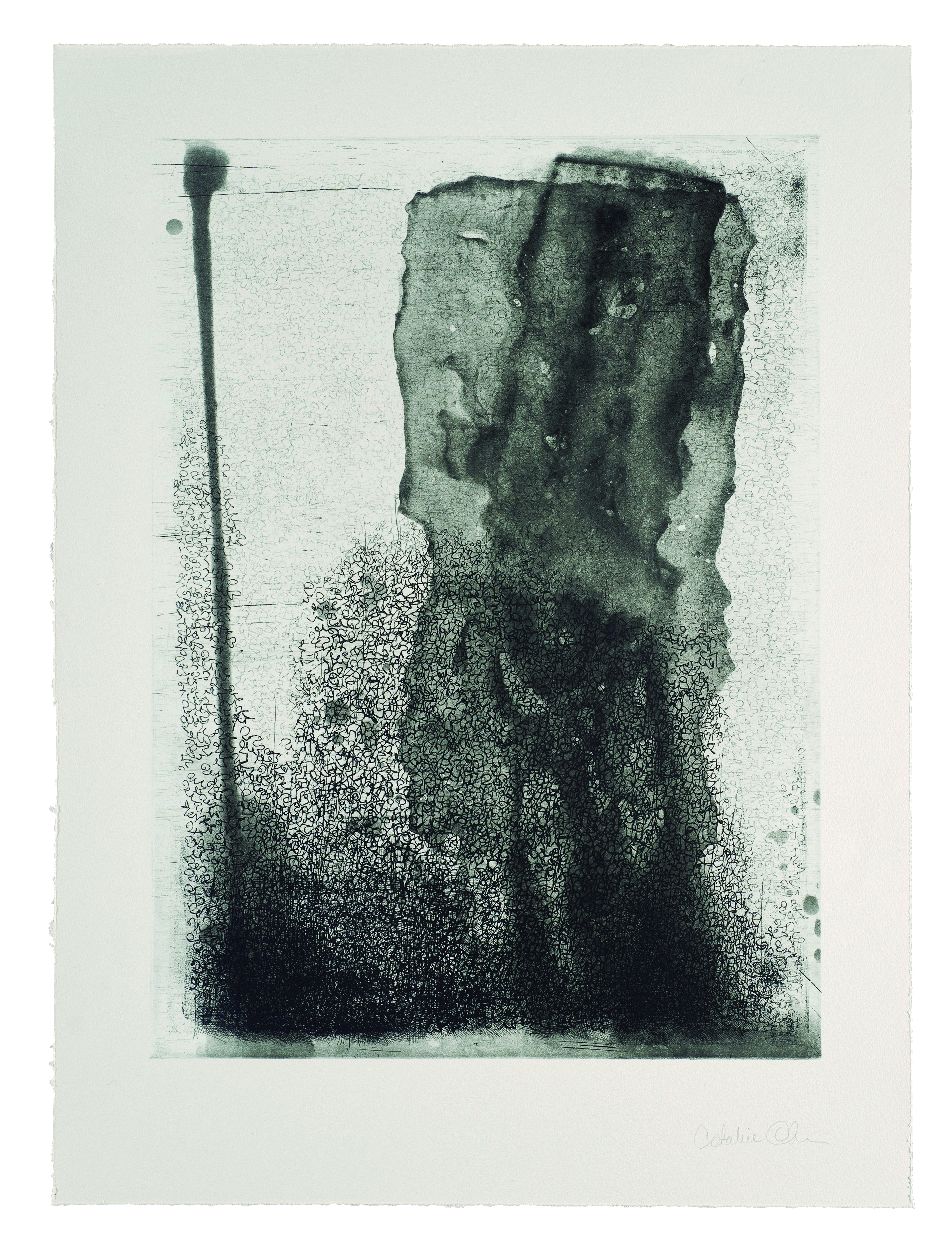 Untitled by Catalina Chervin