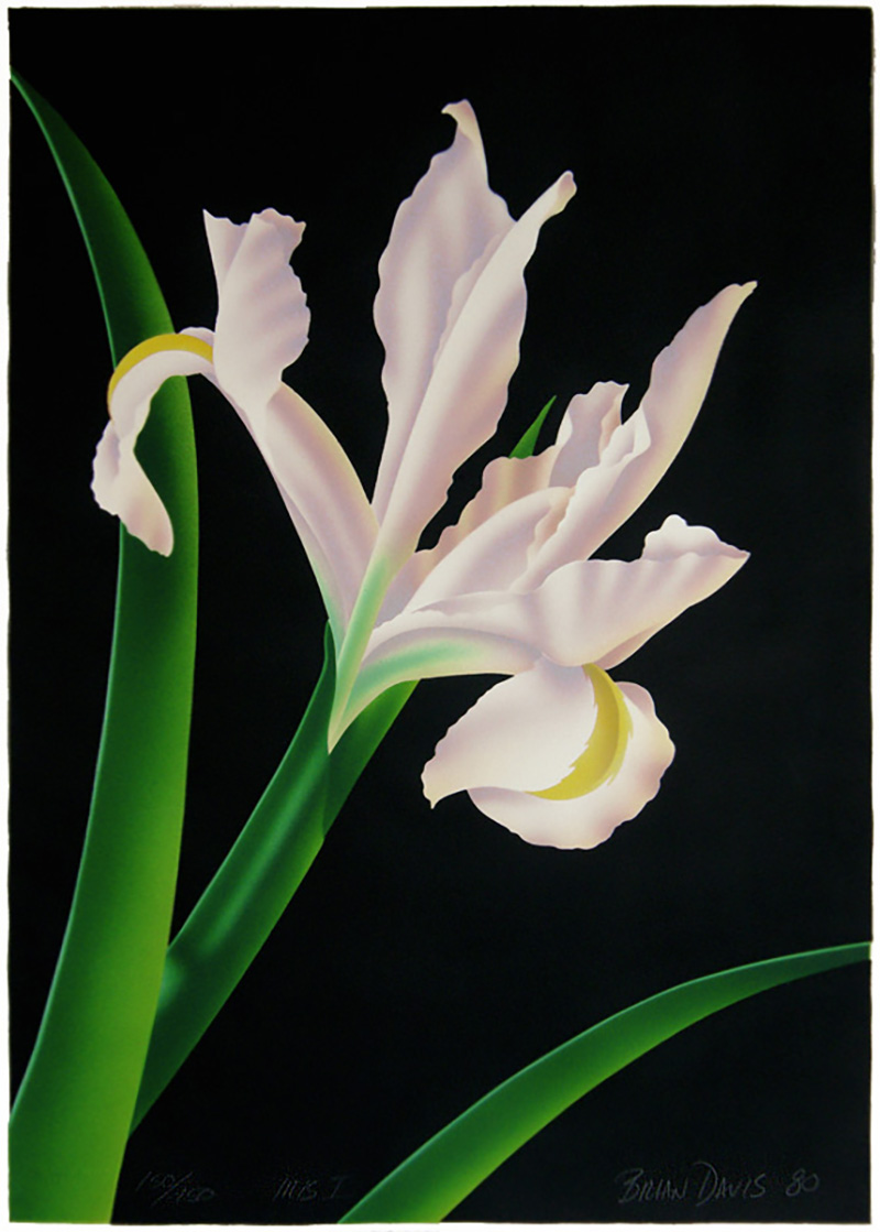 Iris 1 by Brian Davis