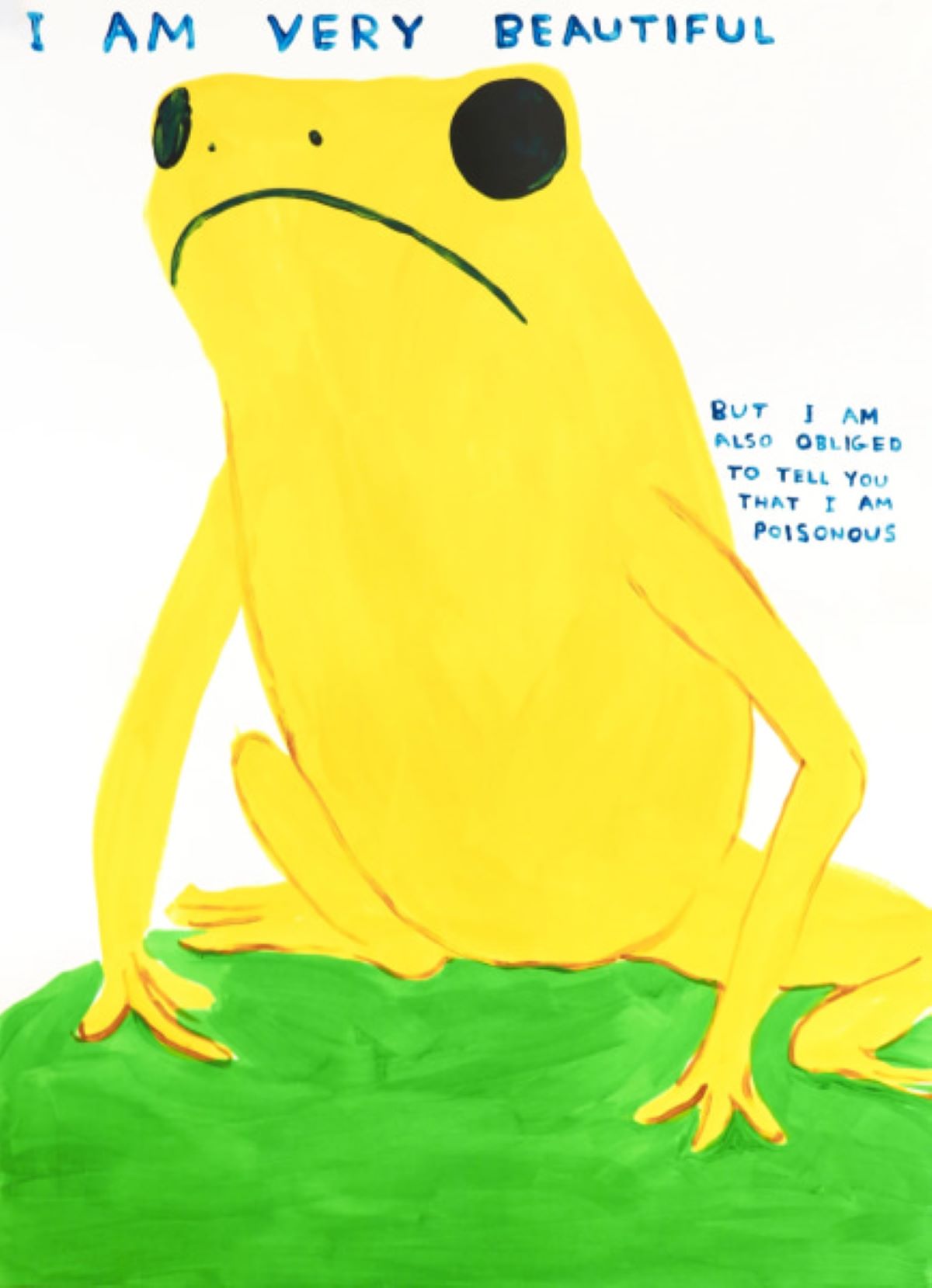 I Am Very Beautiful, by David Shrigley