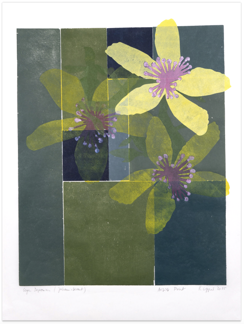 Against Depression (St. John’s Wort) by Thomas Kilpper