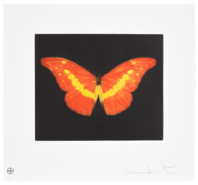 Damien Hirst To Love by Damien Hirst at Clifton Gallery