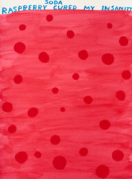 David Shrigley Raspberry Soda by David Shrigley at Clifton Gallery