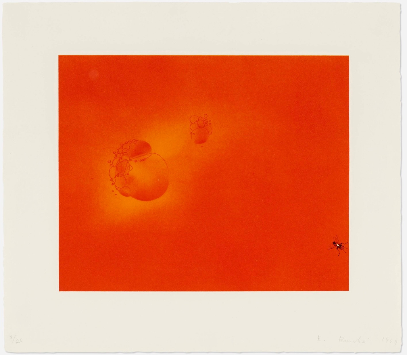 Boiling Blood, Fly by Ed Ruscha
