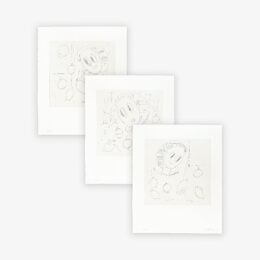 Frau und Früchte (Set) by André Butzer at JRP|Editions