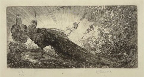 Peacocks (oblong plate) by Edward Julius Detmold at Jan Johnson Old Master Modern Prints