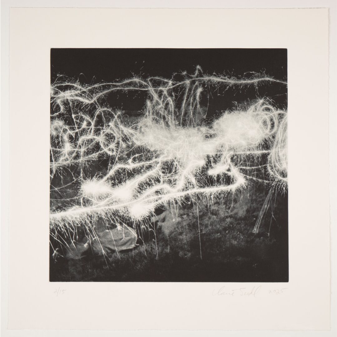 Sparklers by Claire Seidl